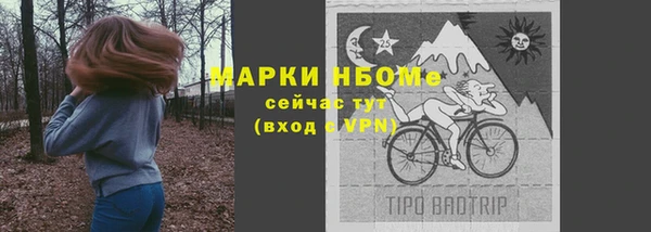 дмт Алзамай