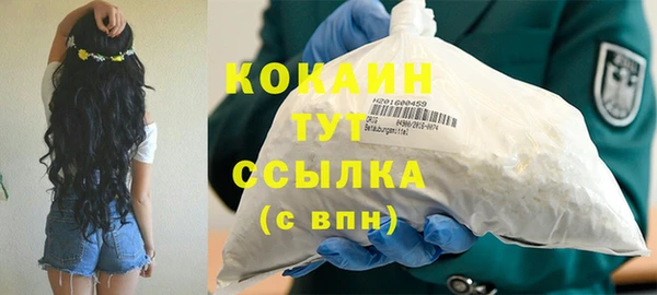 дмт Алзамай