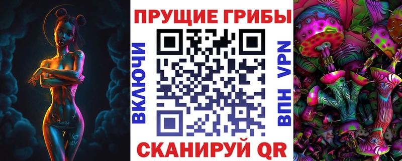 Псилоцибиновые грибы GOLDEN TEACHER  купить наркотик  Балашов 